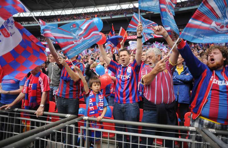 crystal palace supporter