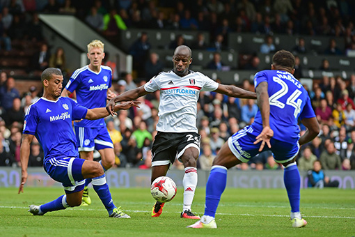 Fulham Match