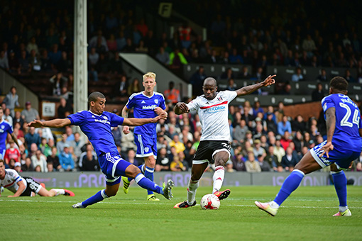 Cardiff City Match