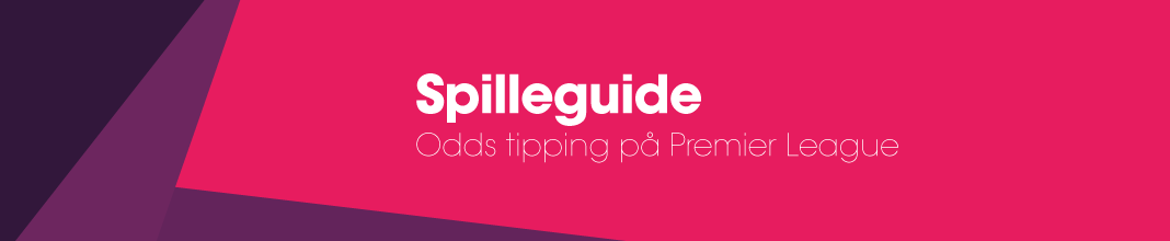 Spilleguide