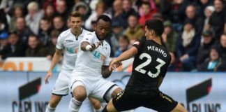 Swansea vs Newcastle PL Preview